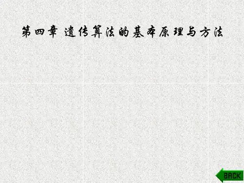 《MATLAB遗传算法工具箱及应用》课件第4章