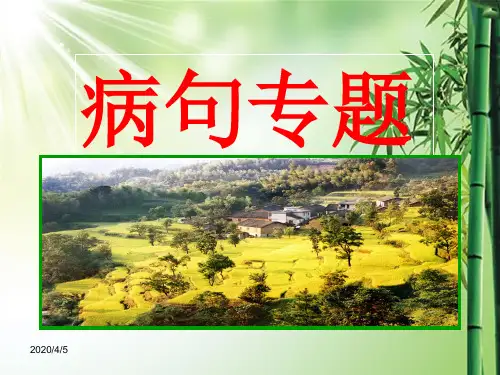 高考病句复习专题ppt课件.ppt