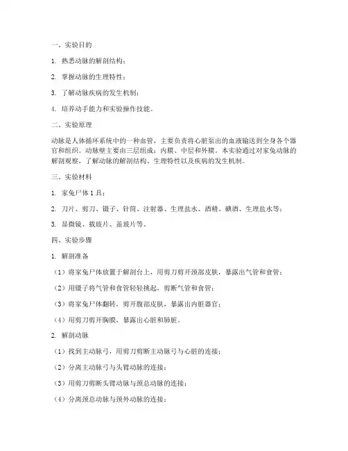 家兔动脉实验报告