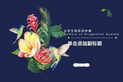 泌尿生殖系统肿瘤