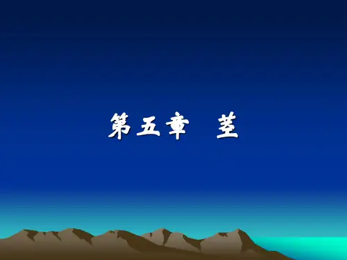 第五章 茎