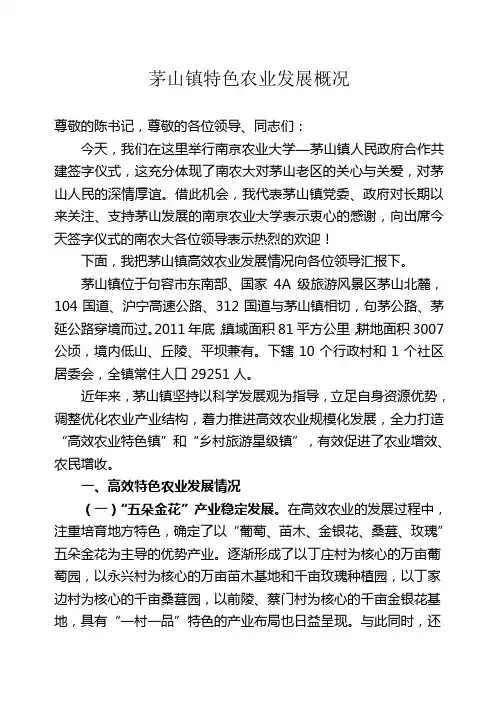 茅山镇特色农业发展情况简介