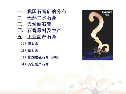 专题四工业废石膏的利用