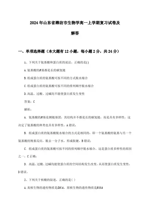 2024年山东省潍坊市生物学高一上学期复习试卷及解答