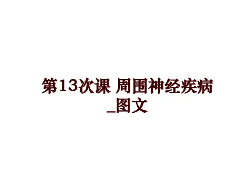 最新第13次课 周围神经疾病_图文讲学课件