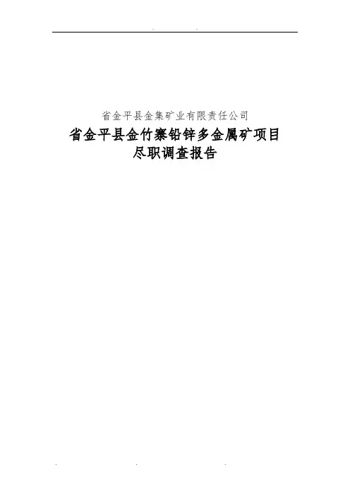 云南省金平县金竹寨铅锌多金属矿合作项目尽职调查报告(删节版)