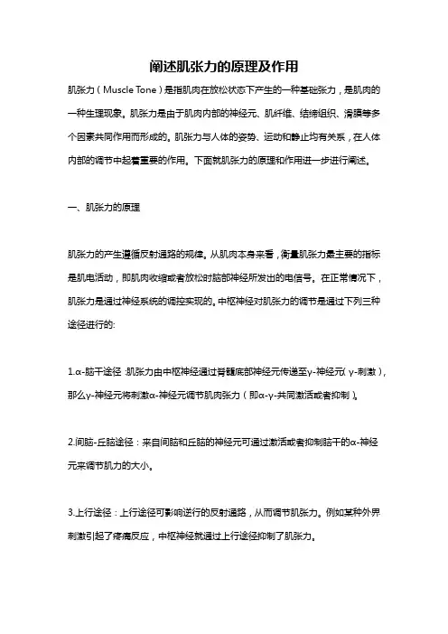 阐述肌张力的原理及作用
