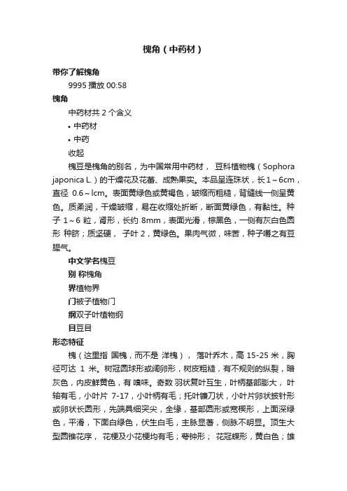 槐角（中药材）