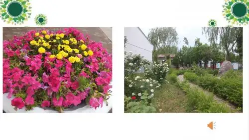 人教版三年级科学下《一 植物的生长变化  种植我们的植物》公开课课件_0