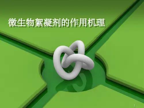 微生物絮凝剂的作用机理ppt课件