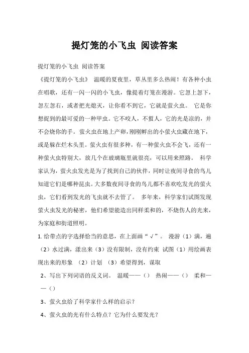 提灯笼的小飞虫 阅读答案