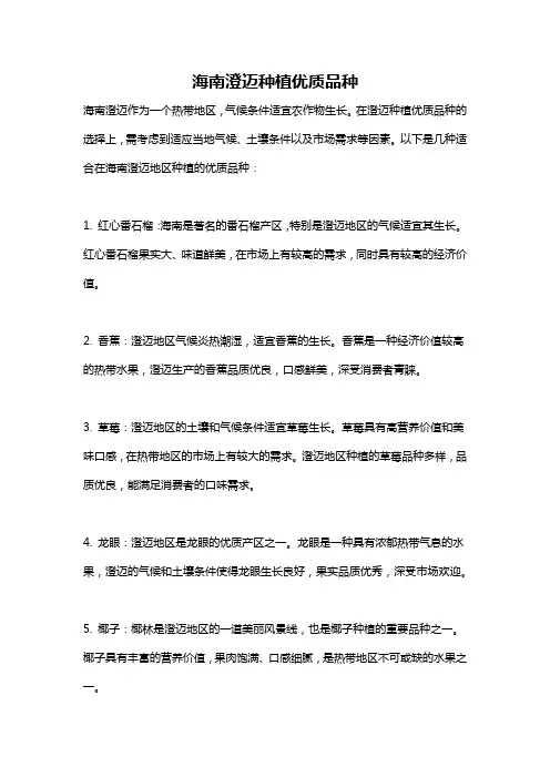 海南澄迈种植优质品种