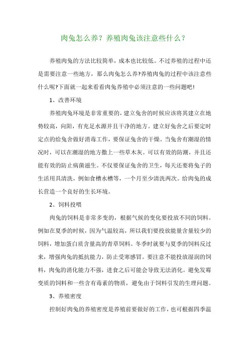 肉兔怎么养？养殖肉兔该注意些什么？