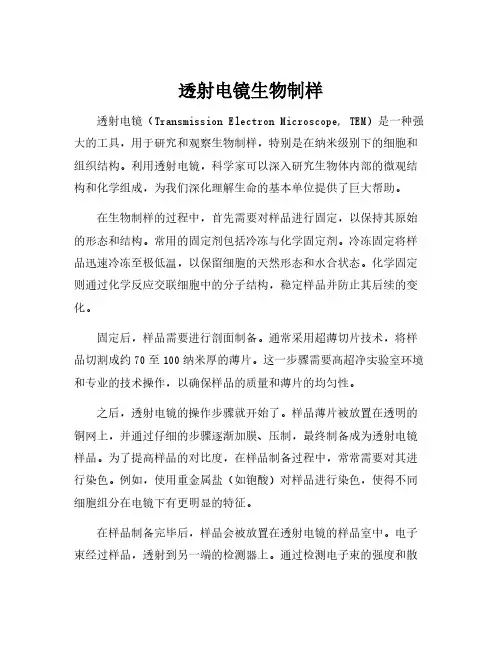 透射电镜生物制样
