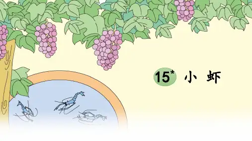 《小虾》ppt课件