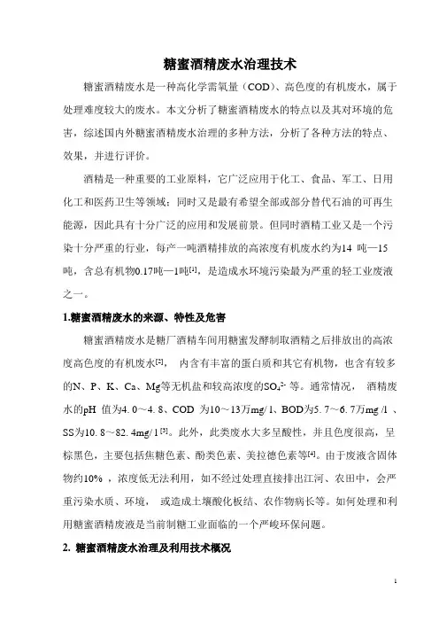 糖蜜酒精废水处理