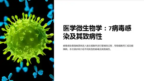 (医学微生物学)7病毒感染及其致病性