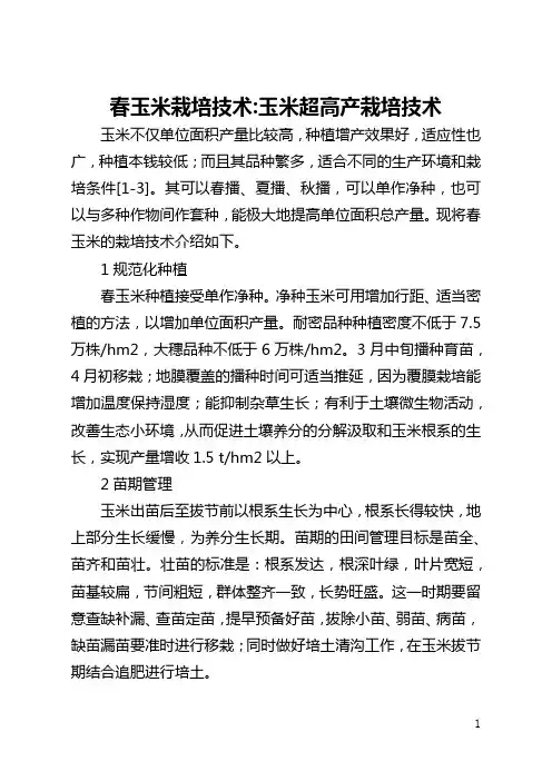 春玉米栽培技术-玉米超高产栽培技术