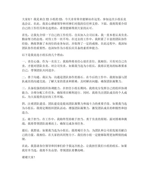 小组长竞选会议领导发言稿