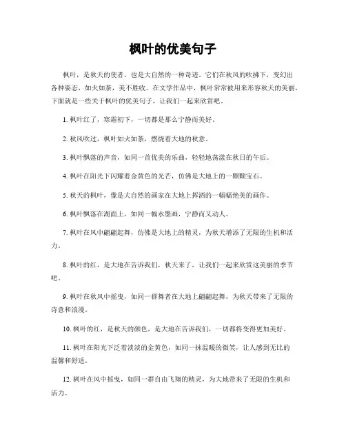 枫叶的优美句子