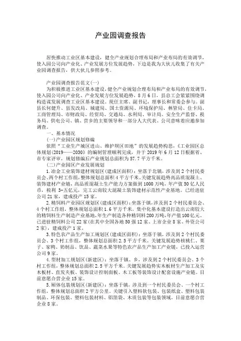 产业园调查报告