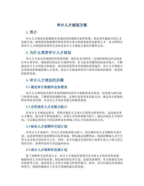 审计人才规划方案