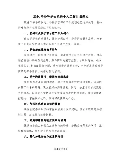 2024年外科护士长的个人工作计划范文（二篇）