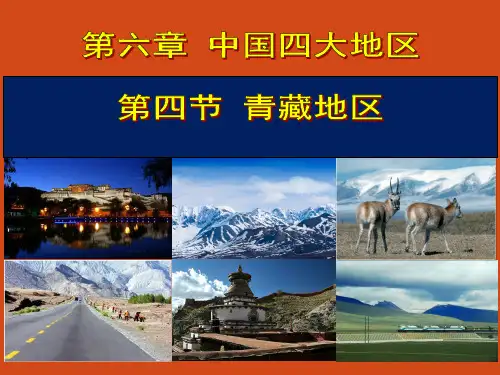 粤人地理八年级下册第六章4 青藏地区(共40张PPT)