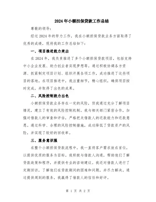 2024年小额担保贷款工作总结