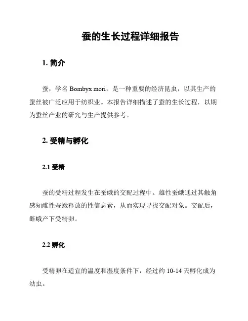 蚕的生长过程详细报告