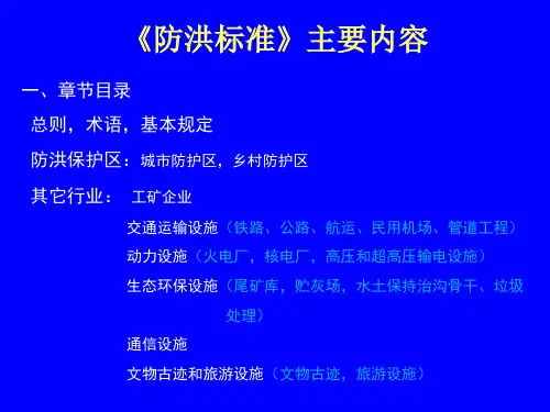 防洪标准及设计要点