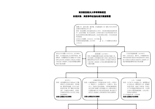 自然灾害应对流程图