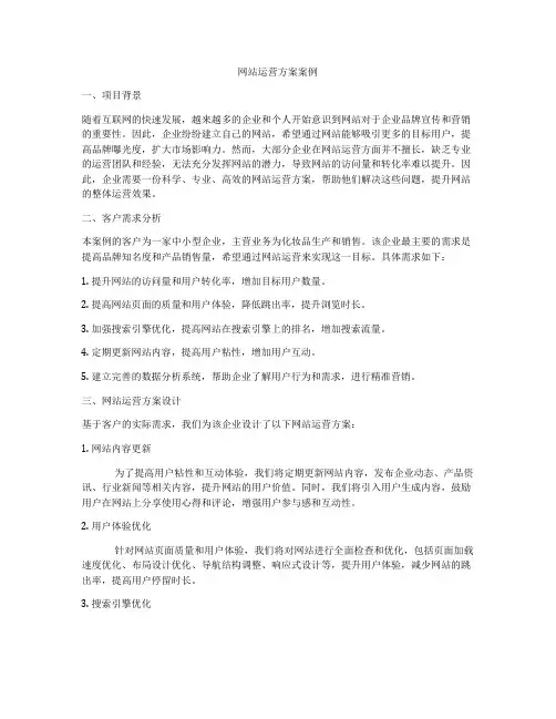 网站运营方案案例