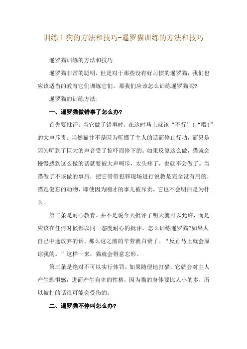 训练土狗的方法和技巧-暹罗猫训练的方法和技巧