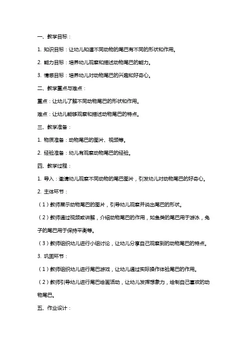 中班科学教案《动物的尾巴》