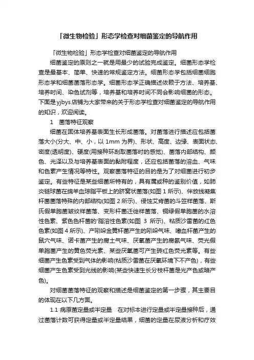 「微生物检验」形态学检查对细菌鉴定的导航作用