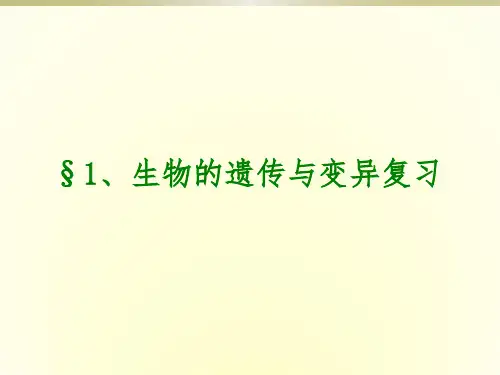 苏科版八下生物生物的遗传