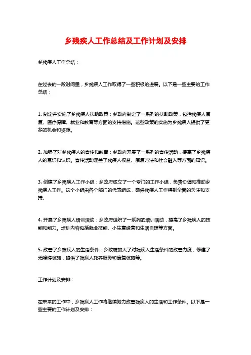 乡残疾人工作总结及工作计划及安排