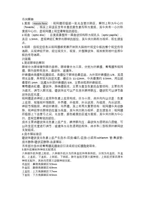 眼科学解剖和生理的名词解释和问答