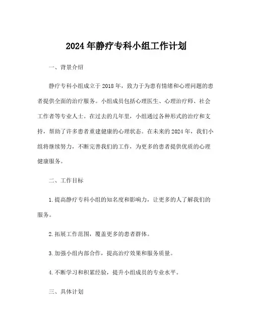 2024年静疗专科小组工作计划