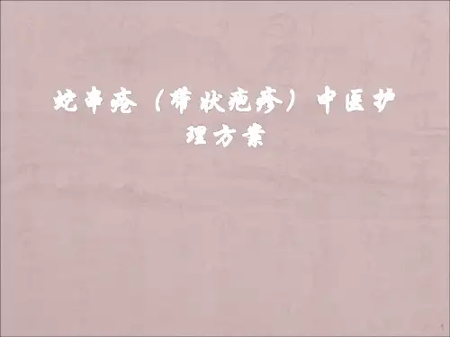 蛇串疮中医护理方案ppt课件