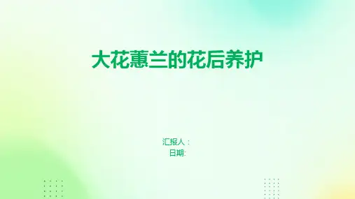 大花蕙兰的花后养护