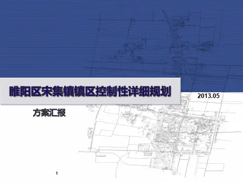 河南城乡改造控制性详细规划方案汇报