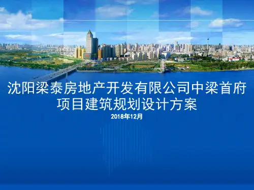 国内标杆地产集团   研发设计  中梁首府项目建筑规划设计方案