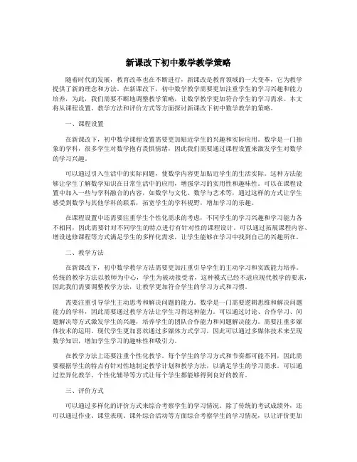 新课改下初中数学教学策略