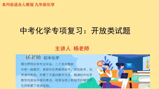 中考化学专题复习：开放类考试试题 13张OOT