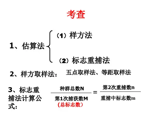 迁入出出生死亡率性别比例及龄组成