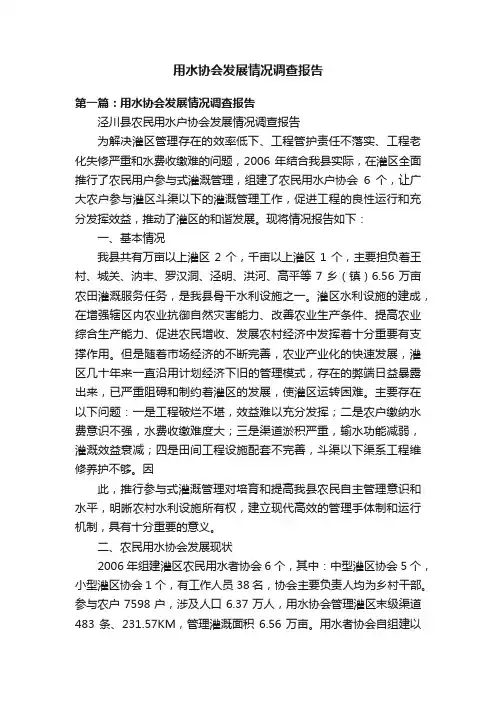 用水协会发展情况调查报告