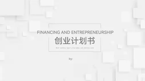 融资创业计划书ppt