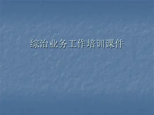 综治业务工作培训课件